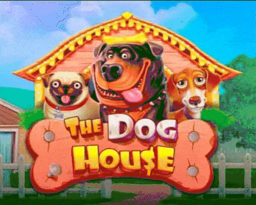 Play The Dog House in Foxy Flush Casino